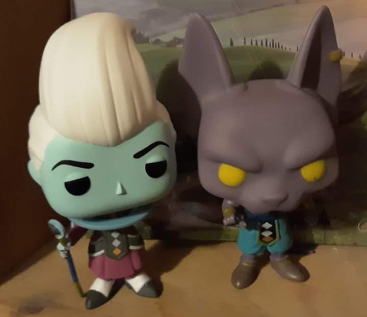 flocked beerus restock