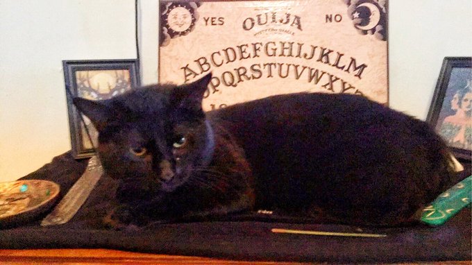 🥰🥰🥰 https://t.co/JXlNGOIFfX