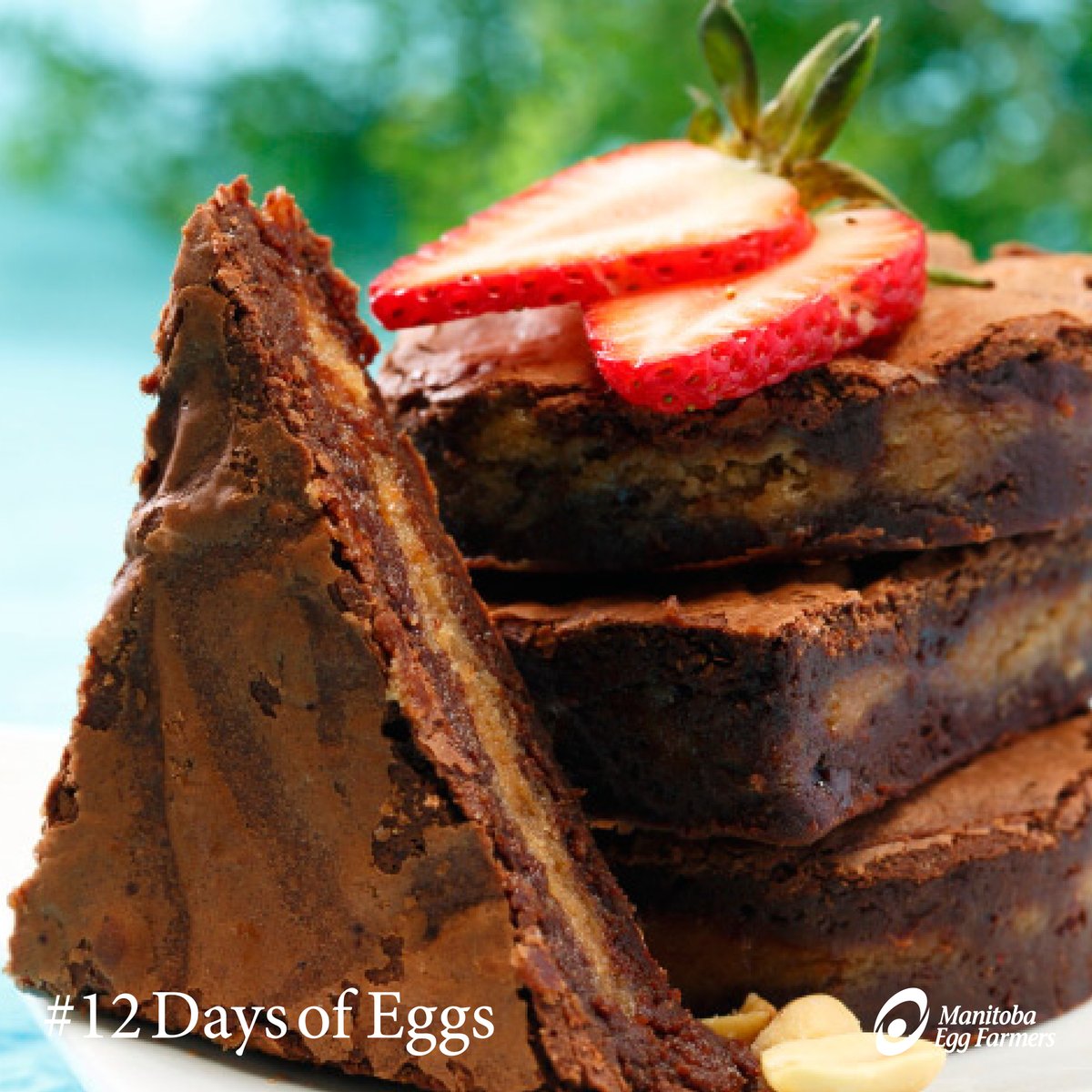 eggsmanitoba's tweet photo. #12DaysofEggs Just 3 days left until Christmas! Every family has someone who just adores brownies. Dark chocolate with a layer of silky peanut butter in the center. Other than peanut butter and chocolate, what’s your favourite dessert pairing?
https://t.co/RTveqesVe3 https://t.co/cTFMoPk2tU