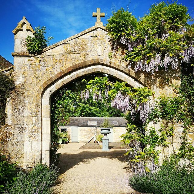 Mortimer_scapes's tweet photo. Thinking of sunnier days, can't wait for spring now. #springflowers #blueskies #wisteria https://t.co/nhsdlOXdZq https://t.co/3Gzkav3Flw