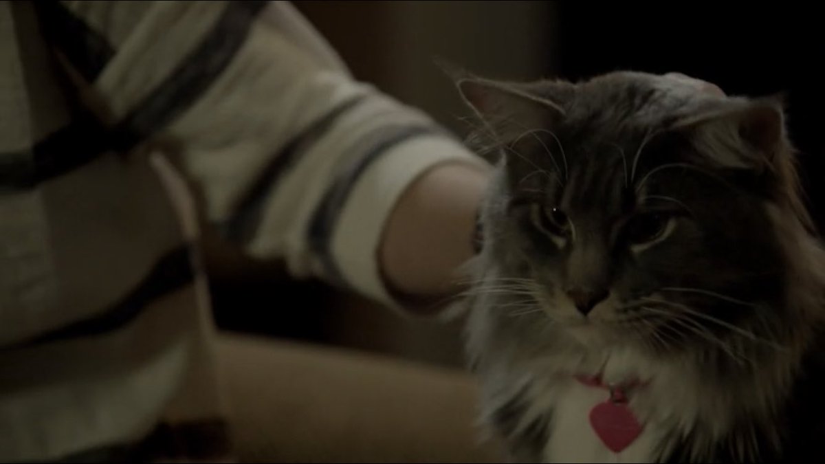 bestoflod's tweet photo. lindsay denton’s cat bella is the most underrated character https://t.co/9TJPrcIqBT
