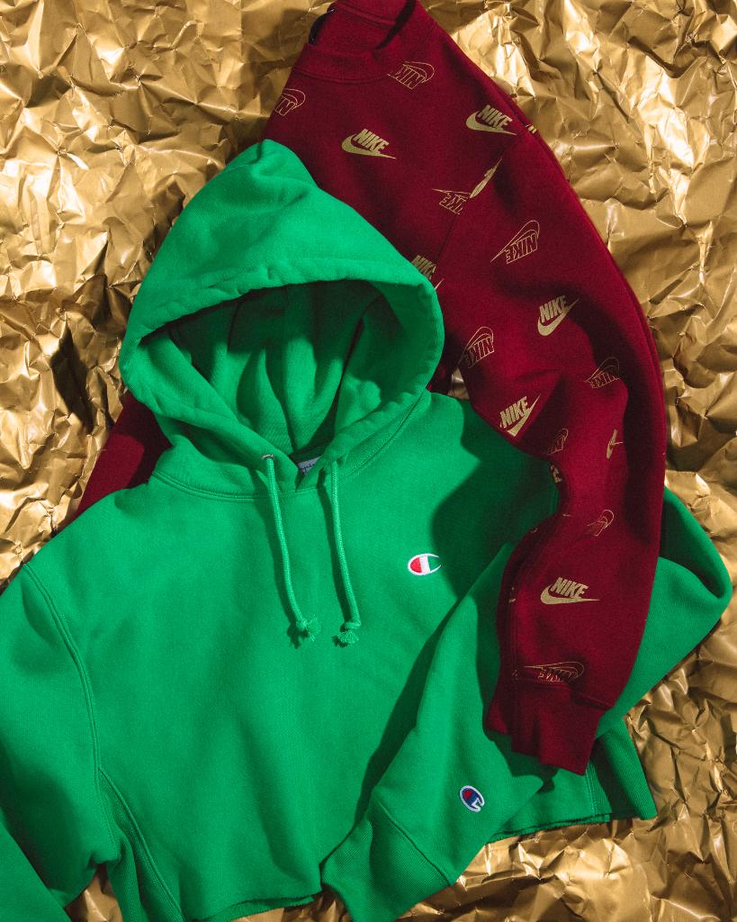 champion hoodie hudson bay