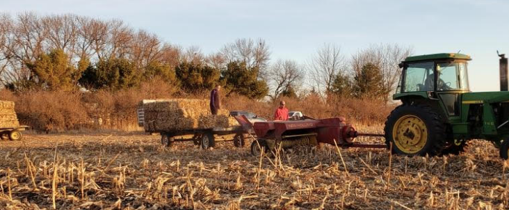 NevadaFFA's tweet photo. Madalyn Gibson helping father Adam bale small squares of cornstalks, Derrick Black helping also west of Fernald #farming #SupervisedAgExperience #NevadaCubPride https://t.co/EL47n0AzYw