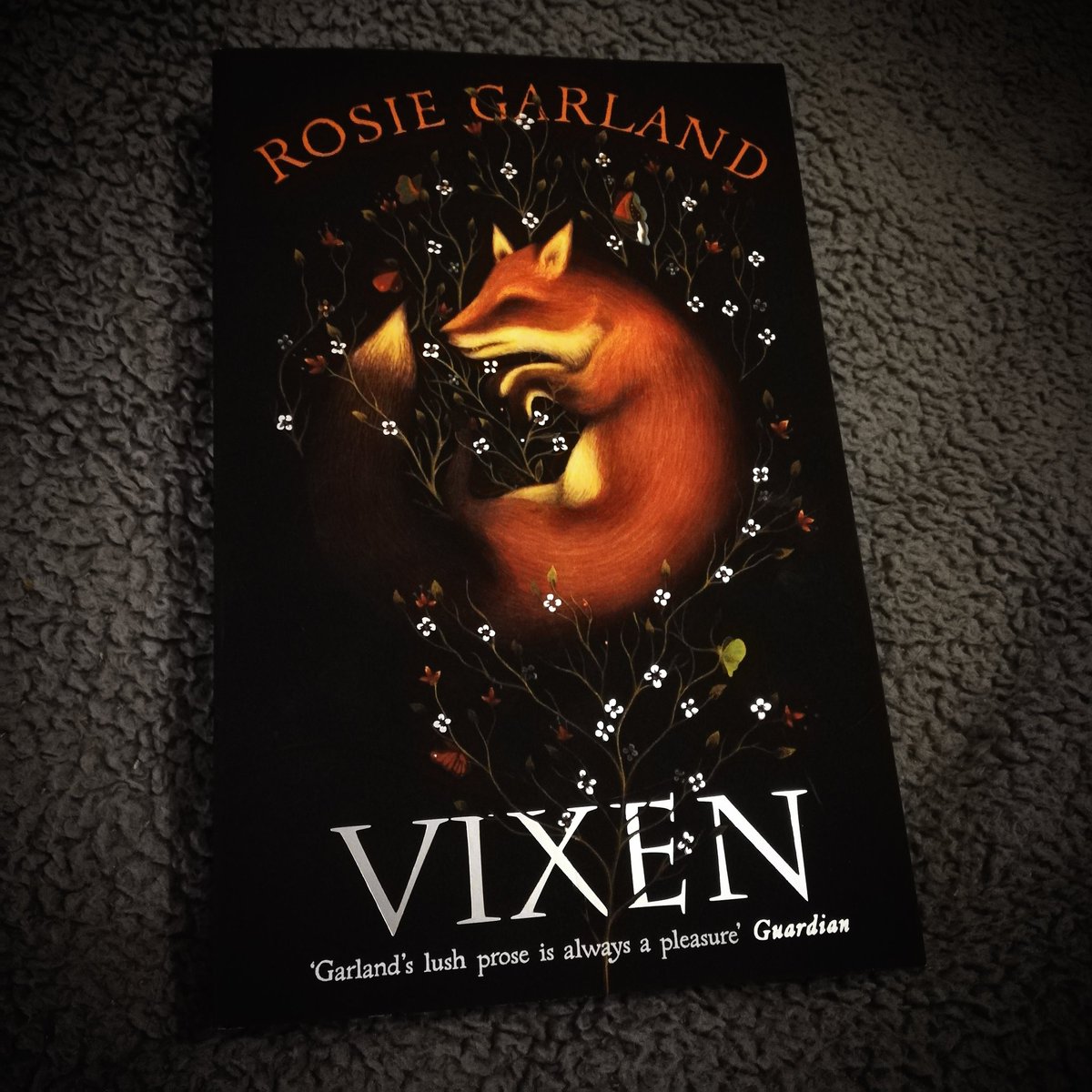 An early Christmas present from my other half 😍 #christmas #love #book #bookgift #bookish #vixen #rosiegarland #gift #presant #winter #winterread