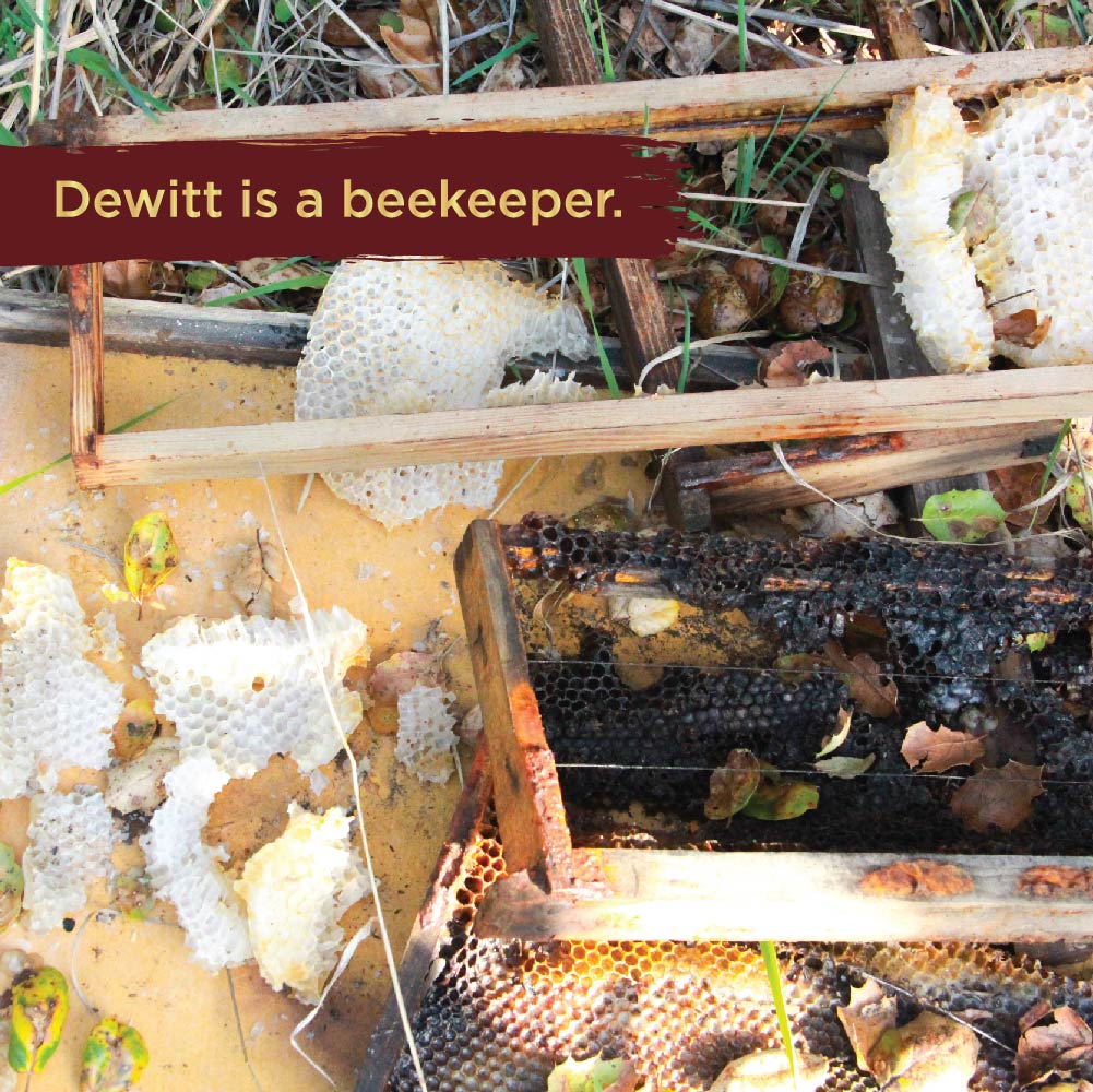 Kiva's tweet photo. Meet Dewitt, one of our borrowers in the United States! 🐝 When thousands of his bees died in the 2017 California forest fires, Dewitt came to Kiva.
To read his story and lend to people like Dewitt this holiday season, visit https://t.co/U8kY0VUxWP today! ✨ #startgood https://t.co/3l0A6t3uJE