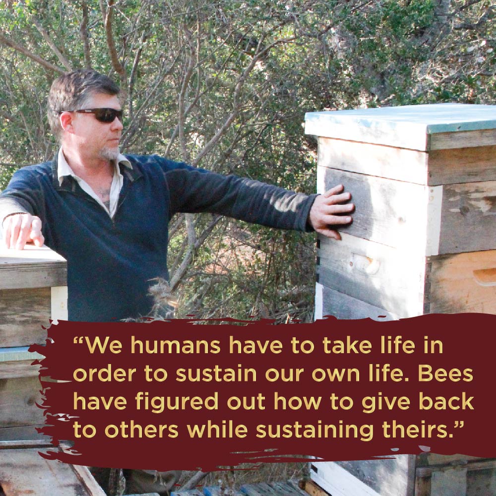 Kiva's tweet photo. Meet Dewitt, one of our borrowers in the United States! 🐝 When thousands of his bees died in the 2017 California forest fires, Dewitt came to Kiva.
To read his story and lend to people like Dewitt this holiday season, visit https://t.co/U8kY0VUxWP today! ✨ #startgood https://t.co/3l0A6t3uJE