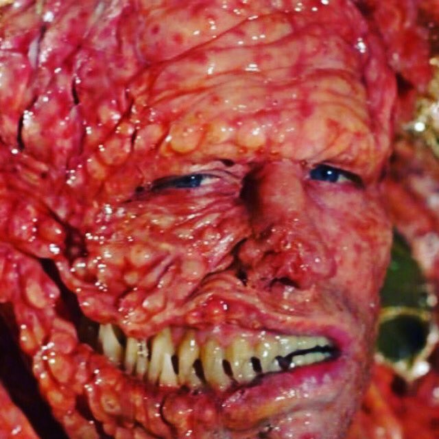 NicodemusDB's tweet photo. #grantslither #slither #slithermovie #horrotica #erotichorror #horrorcommunity #horrorfamily #horrorfam #horrorfan #horror #sciencefiction https://t.co/r8ZbFKp1J8