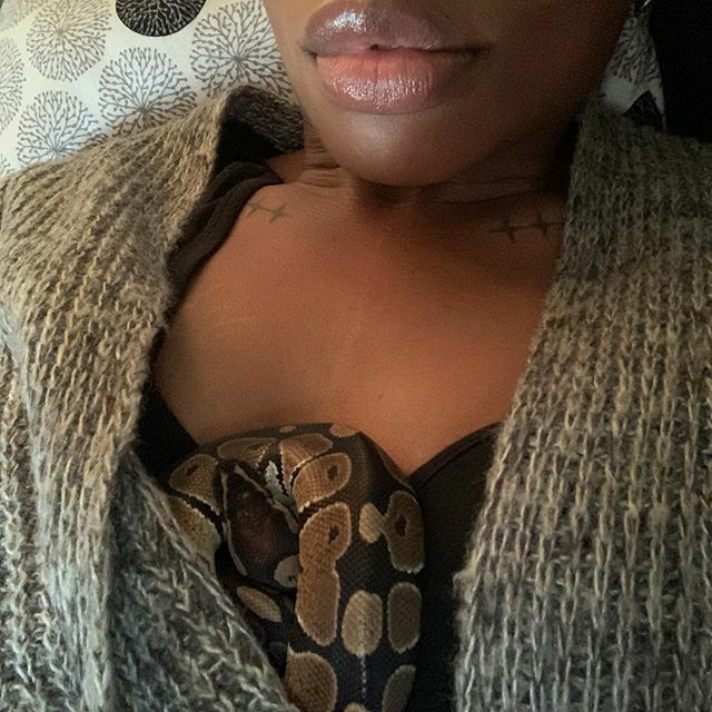 EndureOptimist's tweet image. SHE IS..peace. She is calm. She’s serenity and beauty. She’s elegance, grace and tranquility. She’s my baby, Zen and she’s the best Christmas gift ever! .
.
.
#heyoptimist #snakes #snakemom #ballpython #mygirlzen #zenthesnake #peaceful #serenity #pets #p… ift.tt/35MhMO4