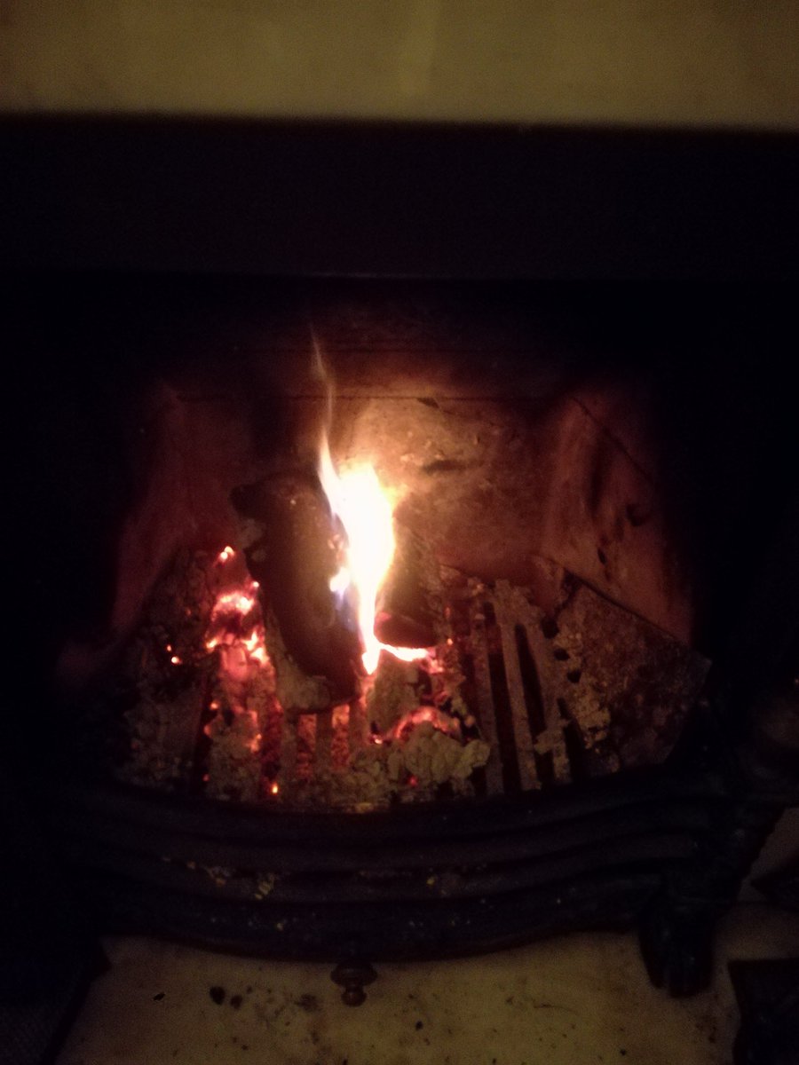 surreyarborist's tweet photo. Goodnight solstice night last log burning toasted with merlot and large rum BZ #thinkdefence #logburner #bushcraft https://t.co/dbQhKJn8bO