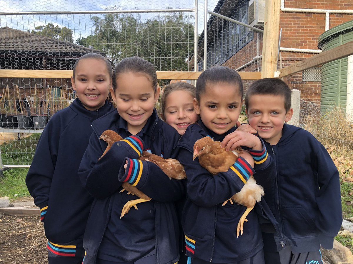 LaPerousePS's tweet photo. Thanks to our community and partners who have supported us and our kids in 2019. We couldn’t have done it without you. These photos show how much it means. #ittakesavillage https://t.co/e9WGSb9Ymn
