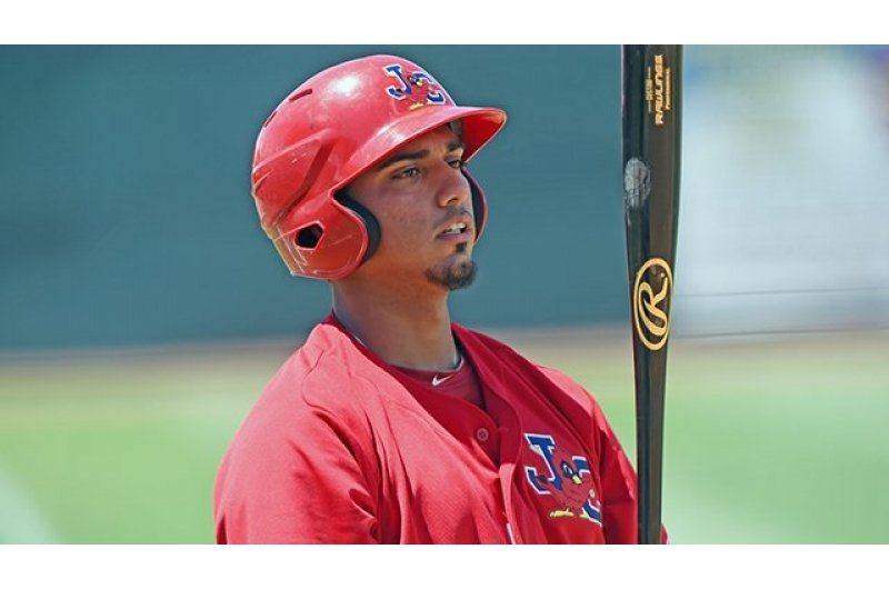 Lewisteran11's tweet photo. #AsiMarchaelBeisbol Me agradaría que continuará el premio novato del año en poder de jugadores oriundos del estado Miranda, #LuisBandes @tiburones_net podría seguir el legado de #AlexPalma y #MoisesGomez los dos ultimos ganadores. https://t.co/zFwwJgCIYD
