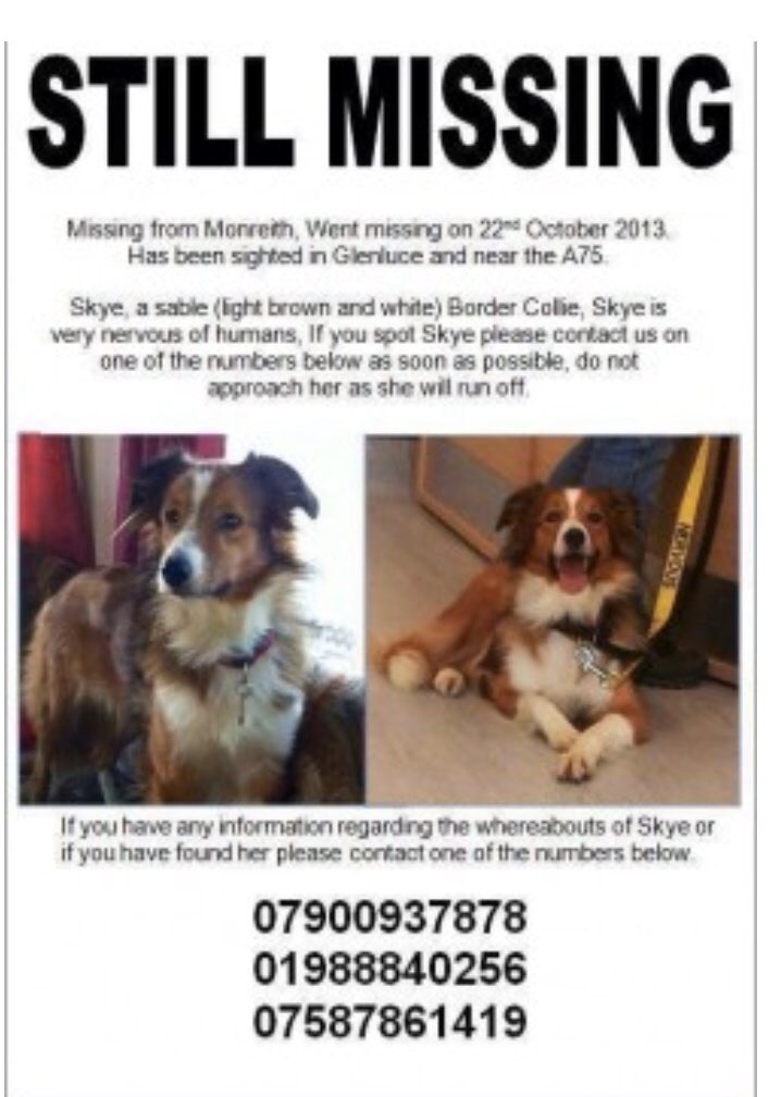 colliesontherun's tweet photo. SKYE still #missing she’s very scared of humans. It’s believed SKYE is still living in area. If spotted please call owners ASAP to get her home
❌MISSING OVER SIX YEARS❌
#Monreith #PortWilliam 😱#Scotland
https://t.co/LpmbOBRM4z https://t.co/W34Wl06GwH