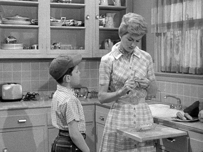 Classic Movie Hub on Twitter: "June Cleaver didn't keep her house in  perfect order, the prop man did it. -Barbara Billingsley… "