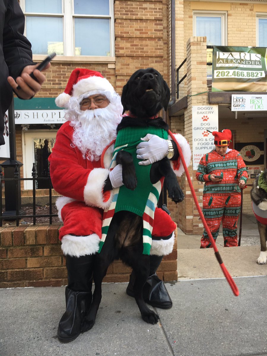 DoggyStyleDC's tweet photo. a festive day PAWrading in Dupont for our annual Ugly Sweater Pawrade🎅🏻🐾💫 #pawrade2019 #merrytreatmas #happypawlidays #dogsofdc #dogsindupont #dcevents https://t.co/jALAcyRGEF