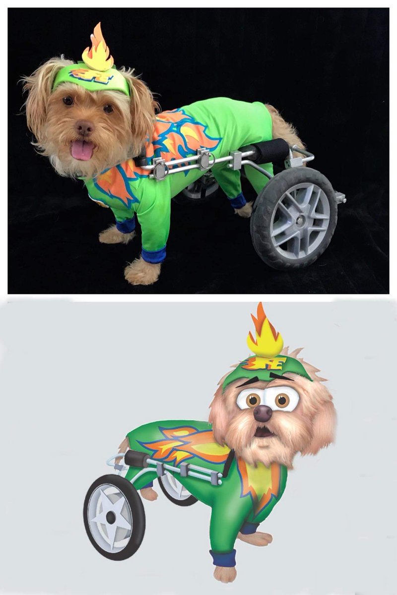 Fast Eddie of The Furtastics. 

He didn’t put on the outfit and call himself a superhero; he earned it! 

Look for this super dog in 2020 with The Furtastics, on tour at children's hospitals and in the children's books. 

thefurtastics.com 

#Superheros #ChildrensBooks