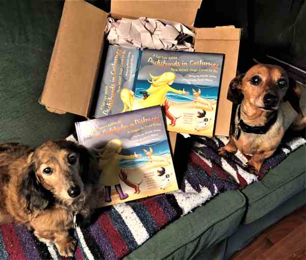 kizeliz's tweet image. #Dachshunds Josie and Buster give “paws up” approval for the #SparkUnboxing of super printing of case laminate/hardcover English &amp;amp; Spanish editions, “A Tall Tale About Dachshunds in Costumes: How MORE Dogs Came to Be ”. Great job @IngramSpark #selfpublishing  #writingcommunity