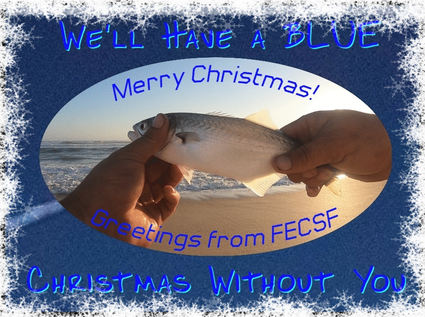 east_surf's tweet photo. #MerryChristmas #Christmas #FECSF https://t.co/MczAmZ0dPr