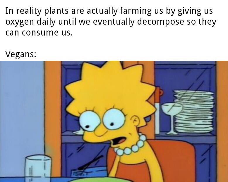CaseTheeAce's tweet image. Are plants considered omnivores?
