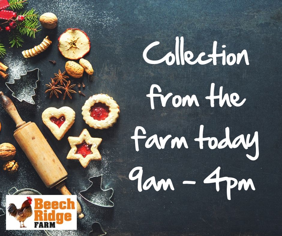 Collection from the farm today, 9am - 4pm. 

#ChristmasDinner #ChristmasTurkey #BeechridgeFarm