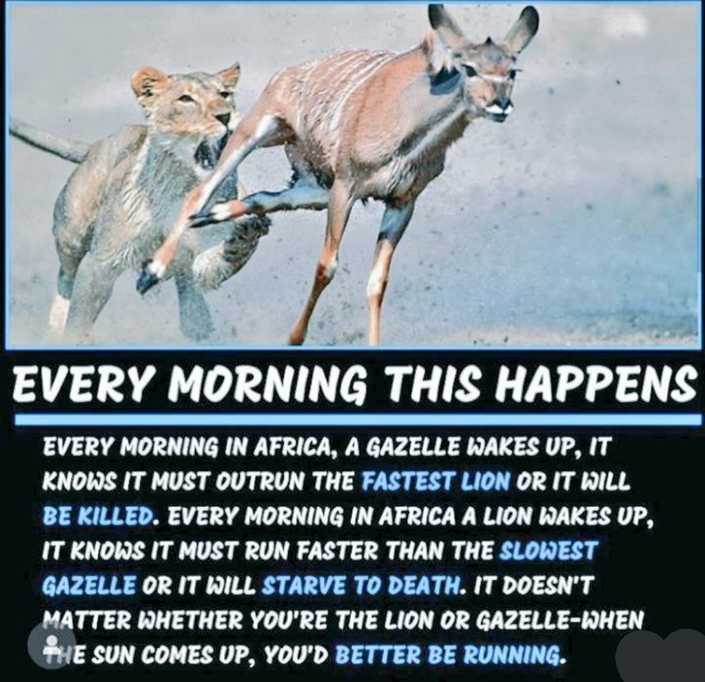 AtanuSatpati's tweet photo. You'd better be running. 
#motivational #motivation #motivationalquotes #quotes #inspirational #inspiration #success #inspirationalquotes #love #quoteoftheday #entrepreneur https://t.co/Ln9pQVRivt