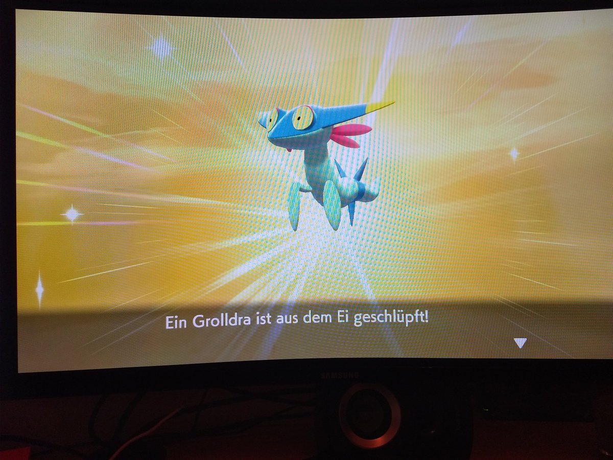 bushidooootiger's tweet photo. Shiny Grolldra beim 1. Ei #shunten #sbreeding @TheSakatiS https://t.co/a8ULGbzdPV