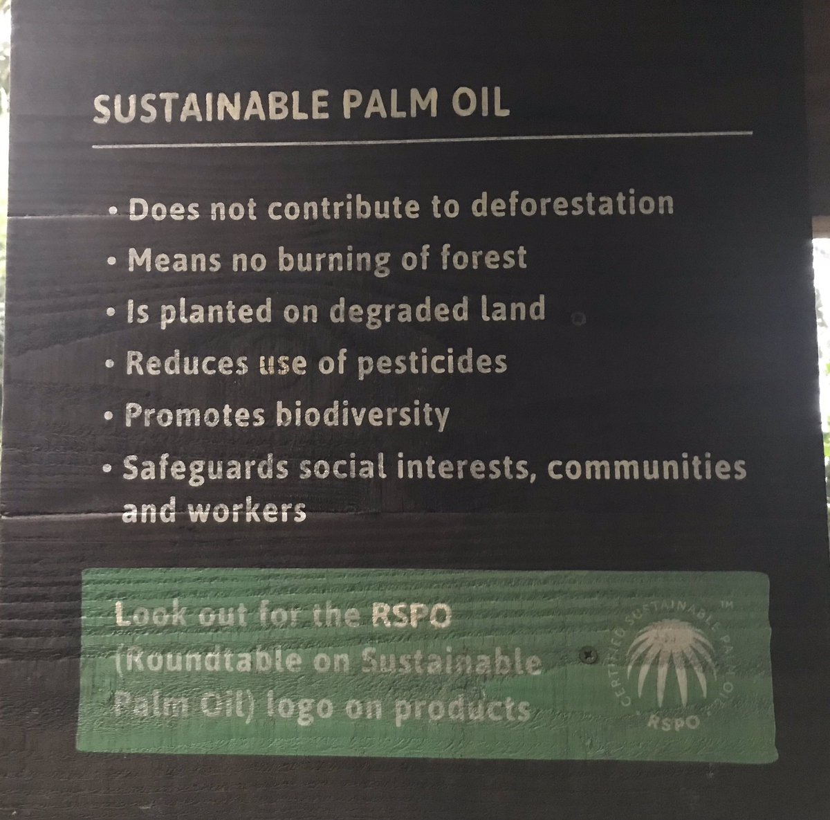 NewquaySPOC 🌱🌴 tweet media