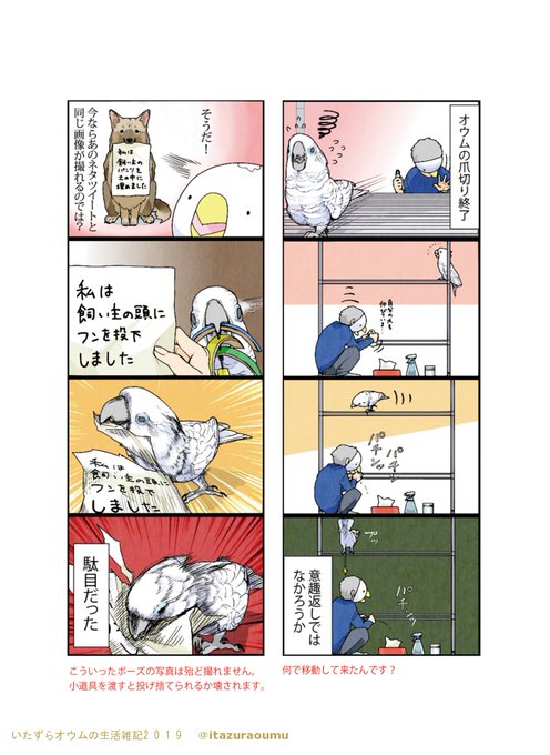 いたずらオウムの生活雑記 を含むマンガ一覧 2ページ ツイコミ 仮