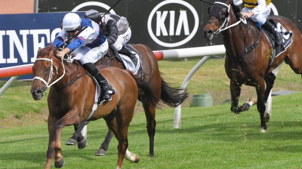 nzracingnews's tweet photo. #Alward (Aqlaam) will revert to his favourite distance of 2000 metres in the Listed Summer Cup at Randwick on Thursday. @_GoRacing @cwallerracing
https://t.co/PqkTv7B3mb https://t.co/te9LLcezGq