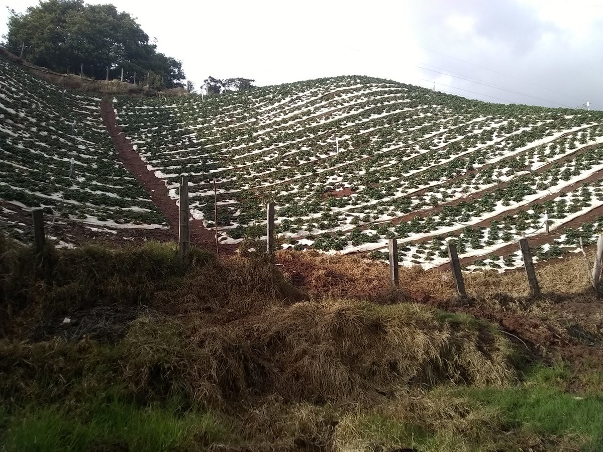 Región Vinícola Pannonhalma 2025: La Más Pequeña y Fina | WineTourism.com, image size:1200x900