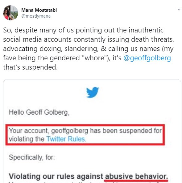 RBehrouzDO's tweet photo. Geoff Golberg, a self-proclaimed  social media expert, was hired and publicized by @NIACouncil, @tparsi, @jabdi, &amp; other regime thugs. He embarked on a profanity-laced harassment campaign targeting #Iranian dissidents. So vicious were his attacks, @Twitter suspended his account. https://t.co/kVm3Vi0f54