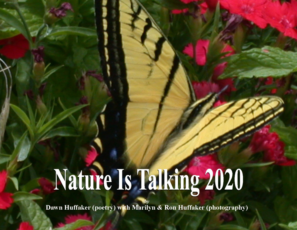 DawnHuffaker's tweet photo. Nature Is Talking 2020 is out! https://t.co/InppZQR6bQ https://t.co/g9n0H6tWs2