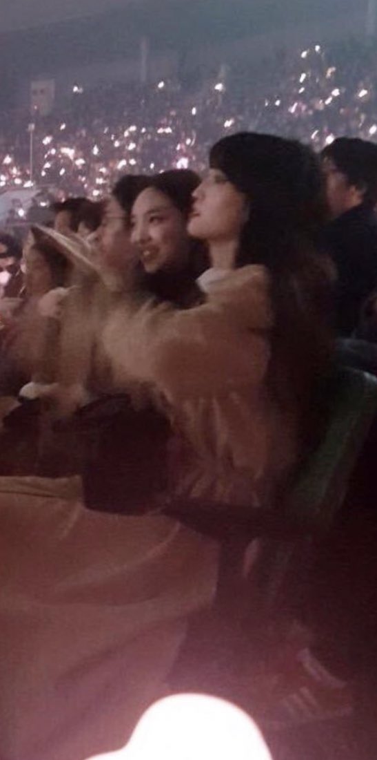 twice at a blackpink concert