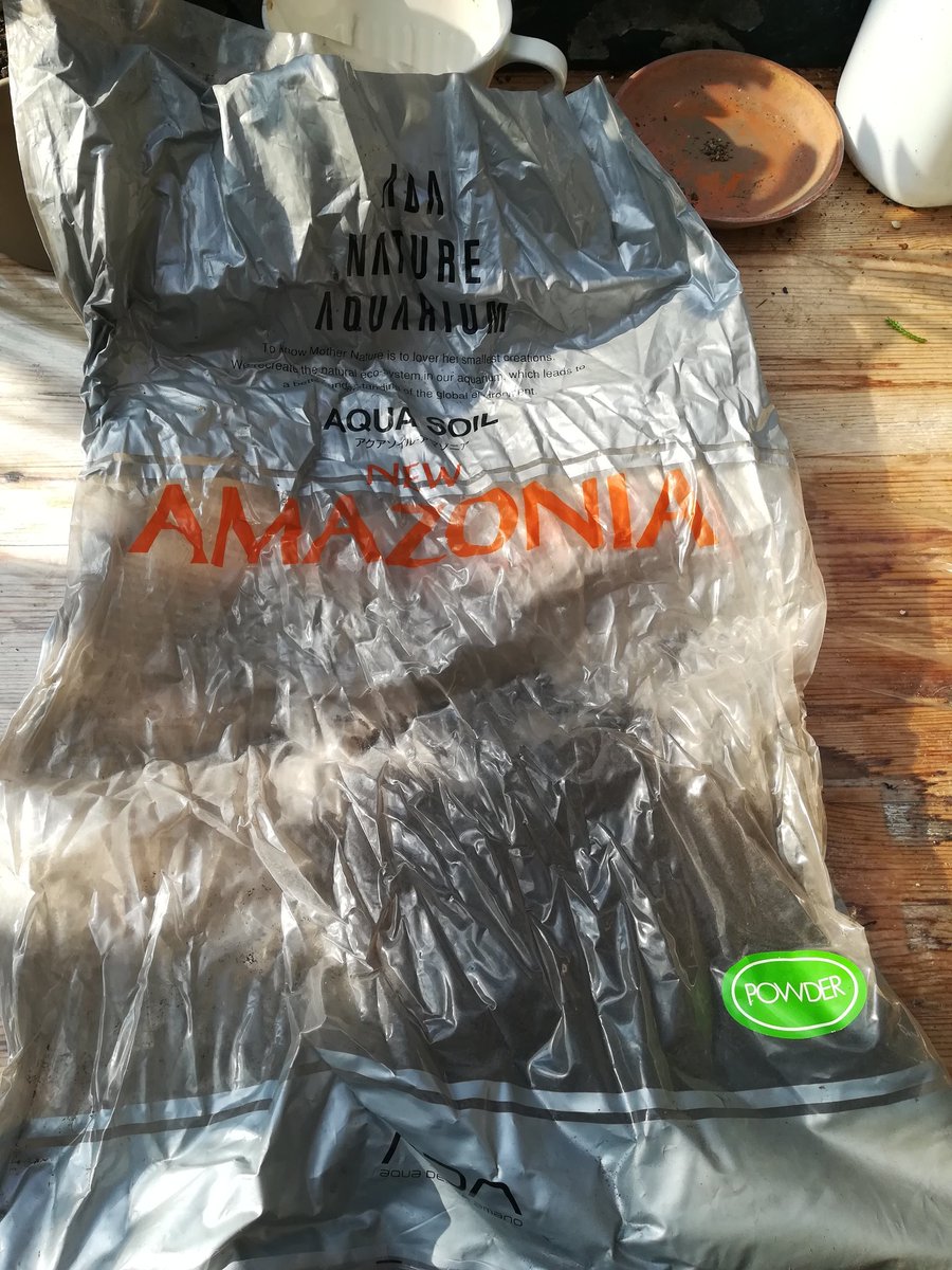 アマゾニア Hashtag A Twitteren