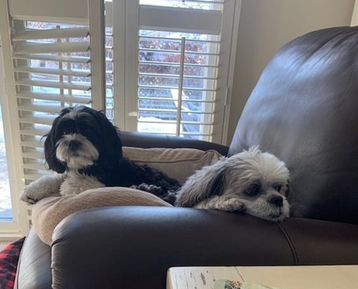 jackjackjack301's tweet photo. baby does not like other baby in his space https://t.co/f1zNH42WvP