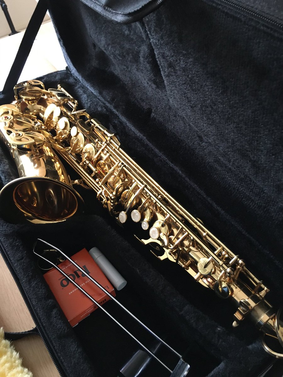 leighmusicangel's tweet image. #Saxophone for sale/rental ⁦@DMSMusicSchool⁩ plus #1stLessonFREE 🎼🎄