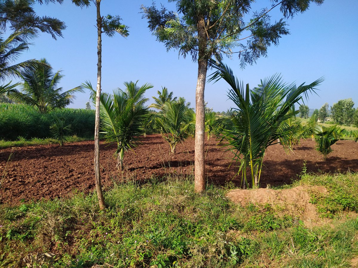 ASHOKA AR (@ashokaar) on Twitter photo 