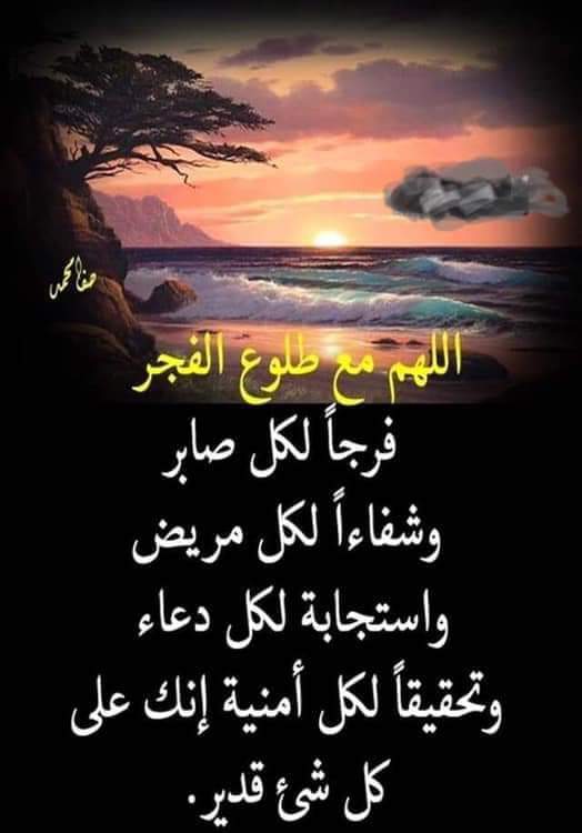 AtifElsayed's tweet image. 