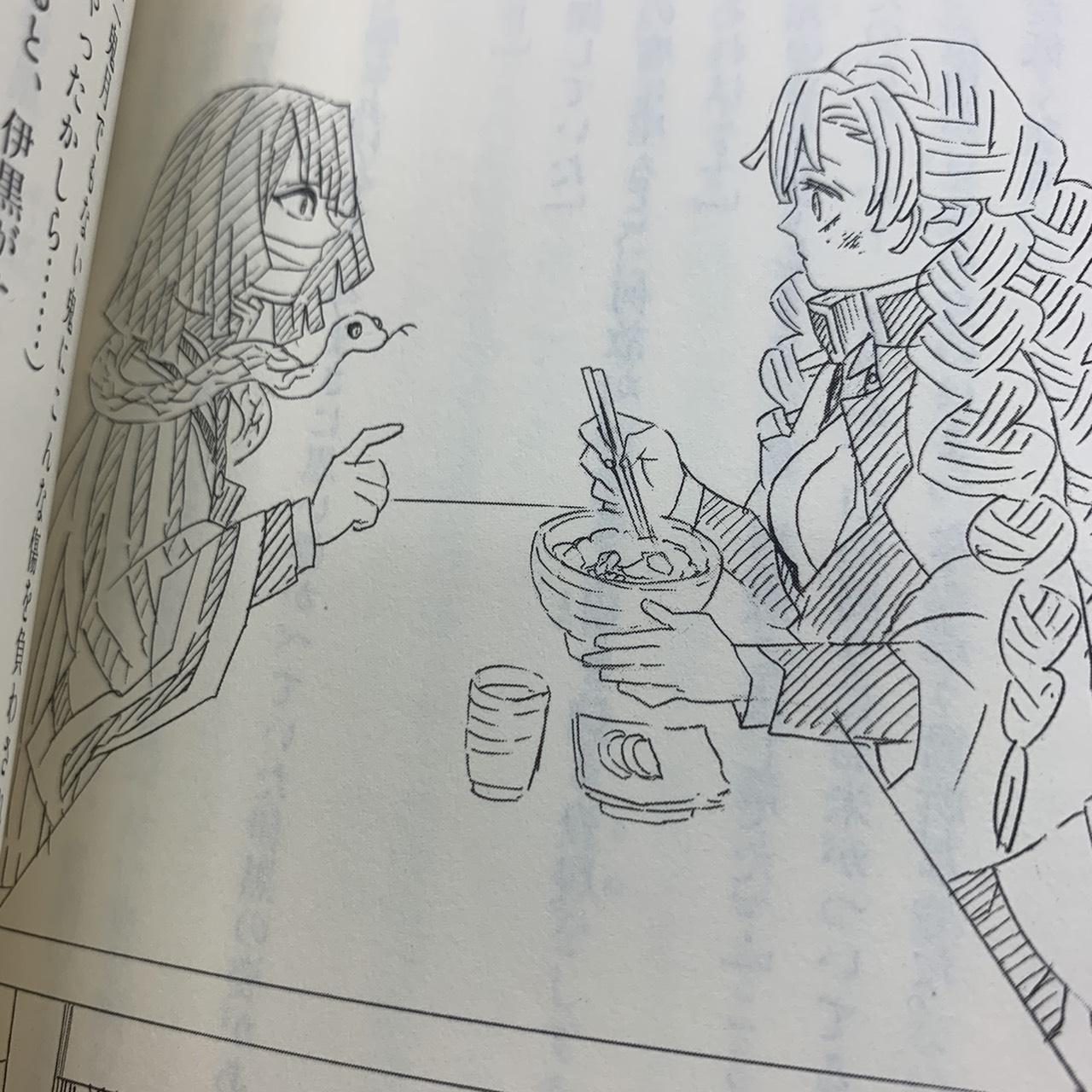 Zaa-318♪鬼滅の刃 片羽の蝶 しあわせの花 (JUMP J BOOKS) 2冊セット