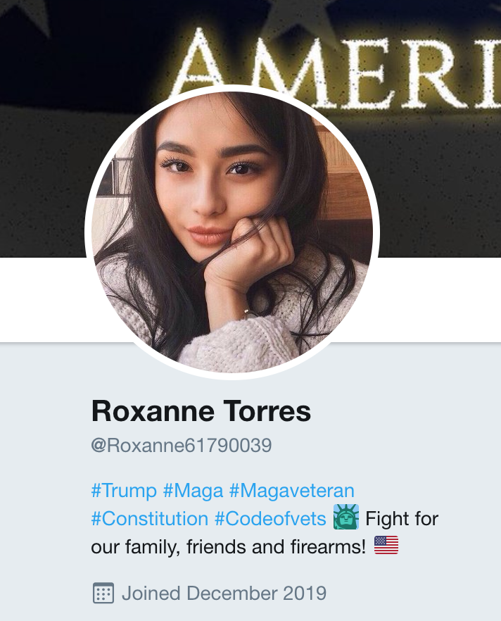 Unlike the first batch of accounts, the new ones mix good old fashioned stolen photos in with the autogenerated face pics. They also all use female faces, as opposed to the first group which had 19 male face pics and one logo.