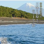 ツイートに含まれる画像