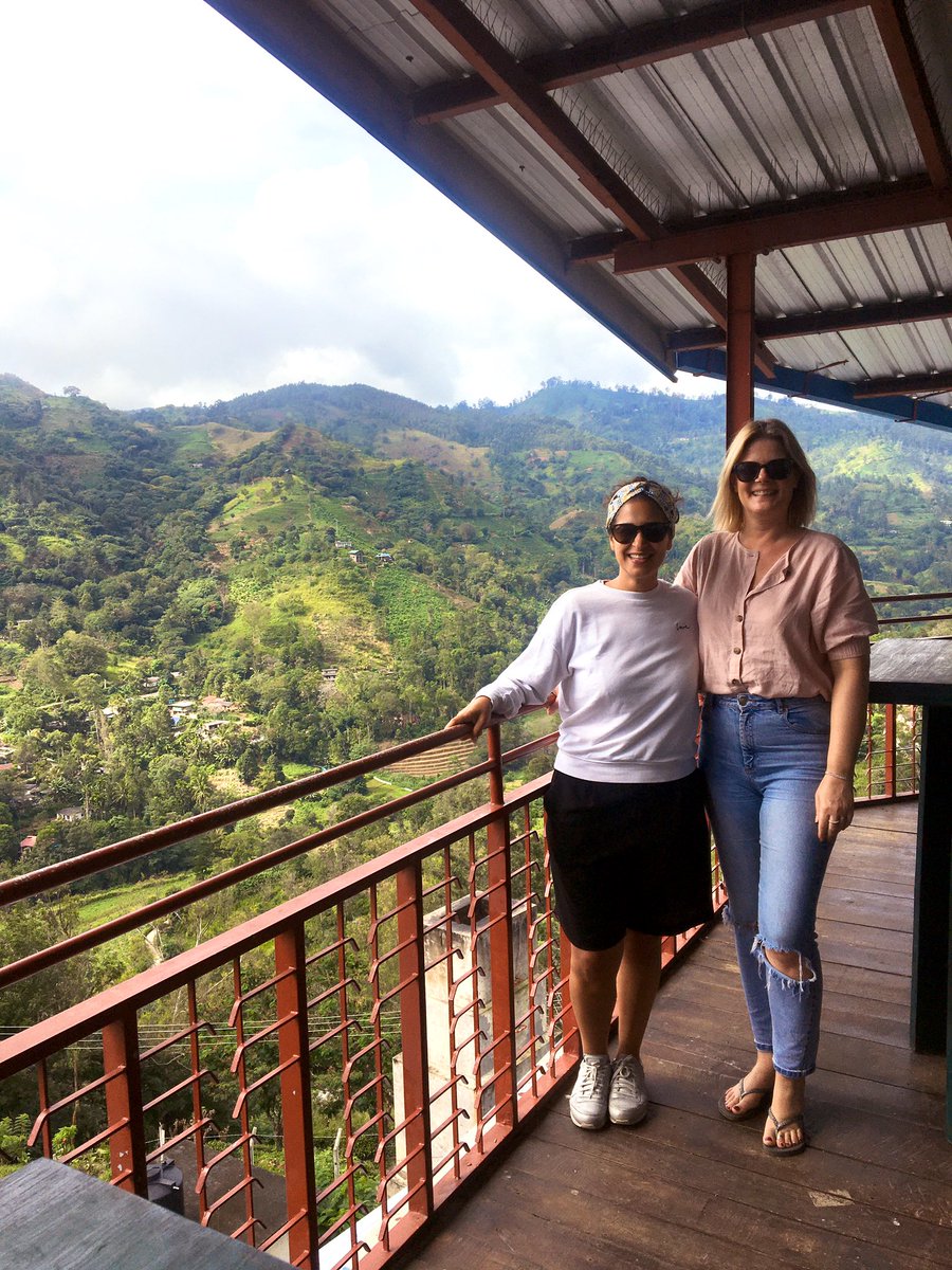 sassyc_001's tweet photo. Checking out where my cuppa comes from 🌱☕️☕️☕️#srilanka #ella #halpetea #tea #tea #tea #travel #wanderlust #tea https://t.co/NWbpZpp5gq