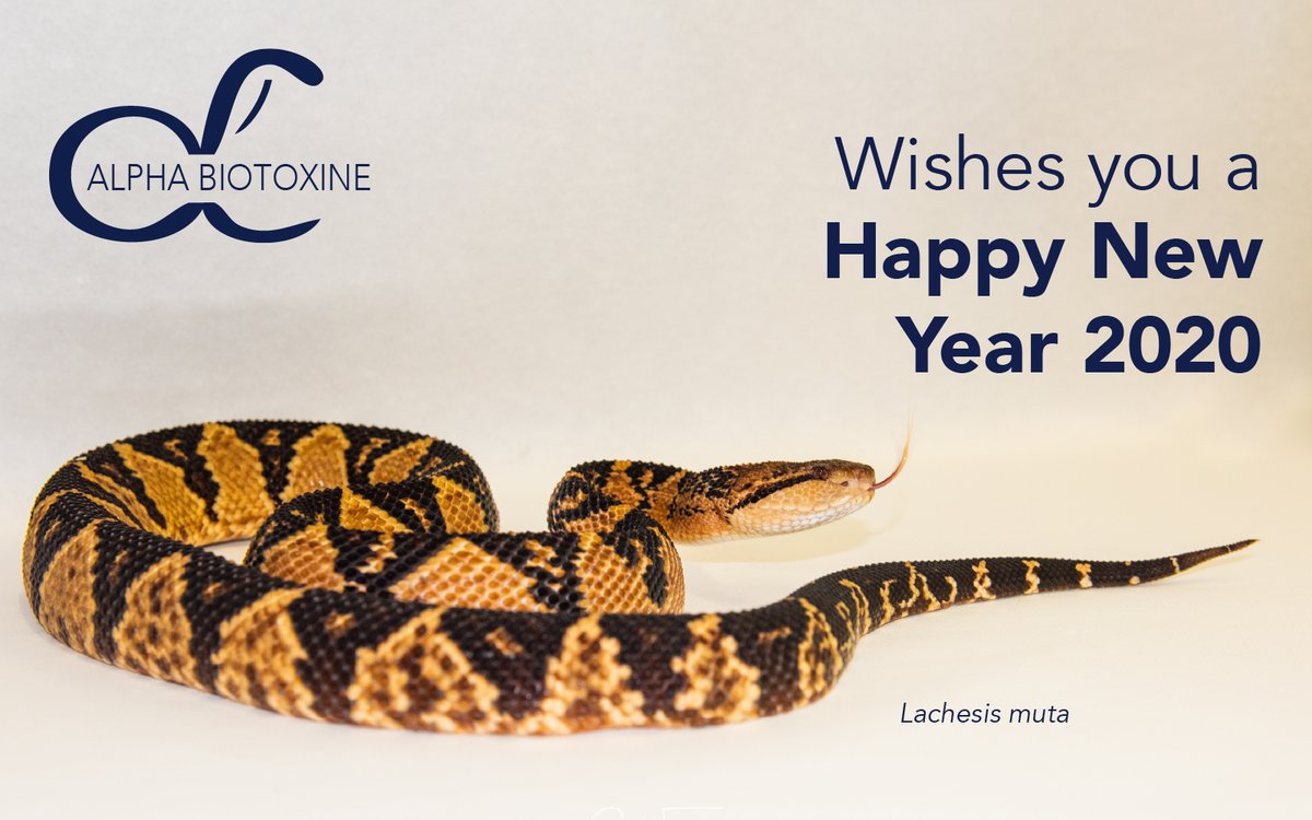 Alphabiotoxine's tweet photo. https://t.co/A0YOofjXGG