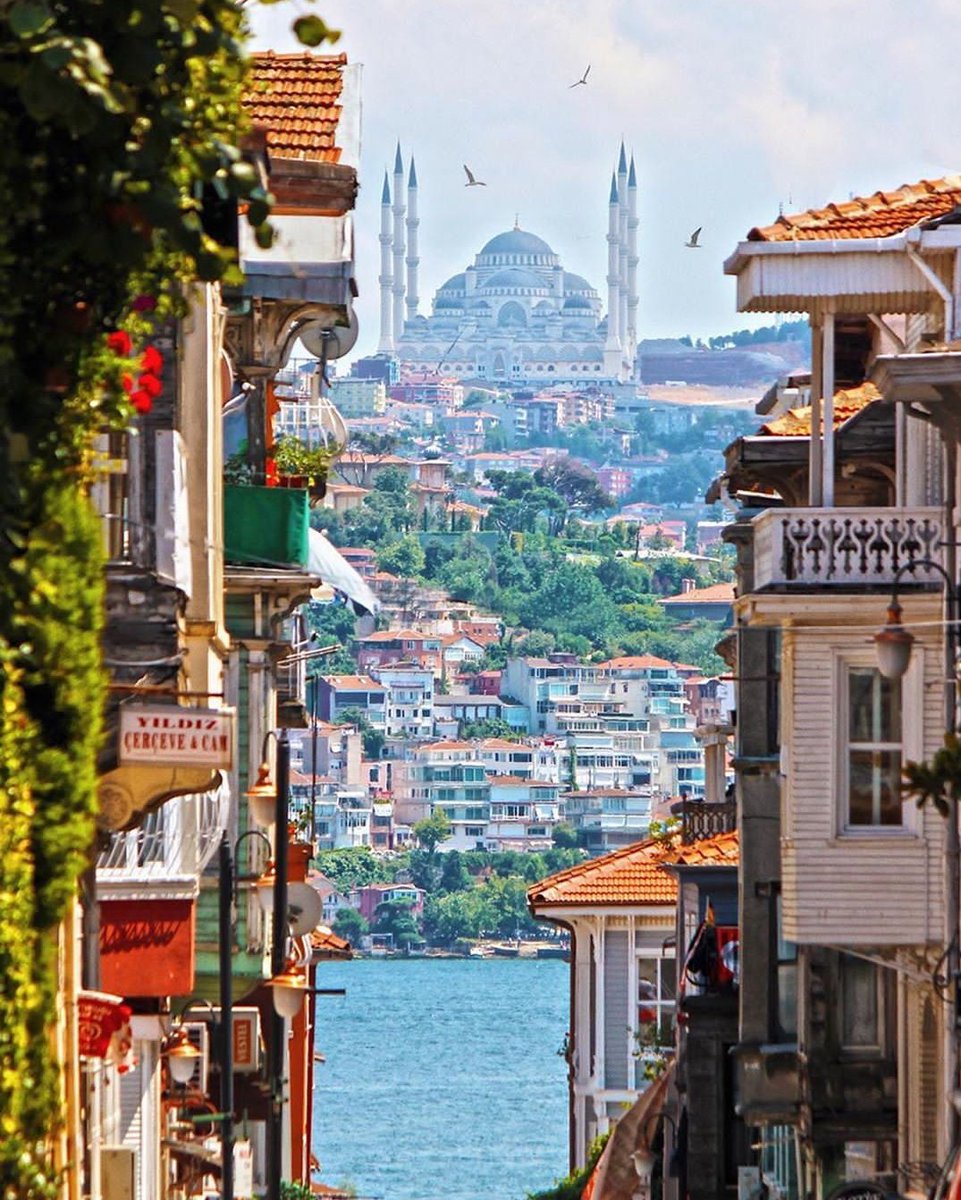 Salaradventures's tweet photo. How beautiful is Istanbul?
Tag someone you'd like to travel here with
Photos by @mstfatyfn
Best tour package of Turkey is available here:
#irgotrip #travelturkey #turkey #travel #traveler #traveling #istanbul #turkeytour #turkeytours #istanbultours https://t.co/goCxoM7oPo