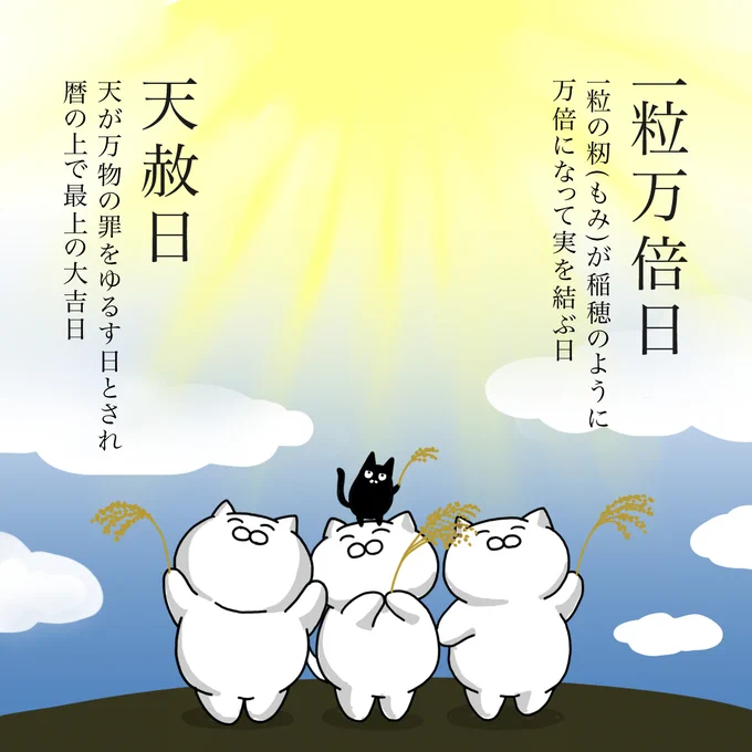 本日1月22日は『天赦日』と『一粒万倍日』の2つが重なる縁起の良い日。 