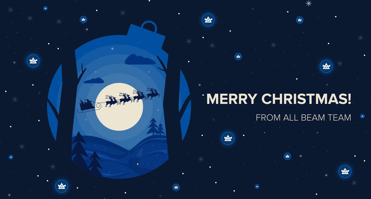 Merry #Xmas to all of you guys! We love you! #privacymatters #mimblewimble