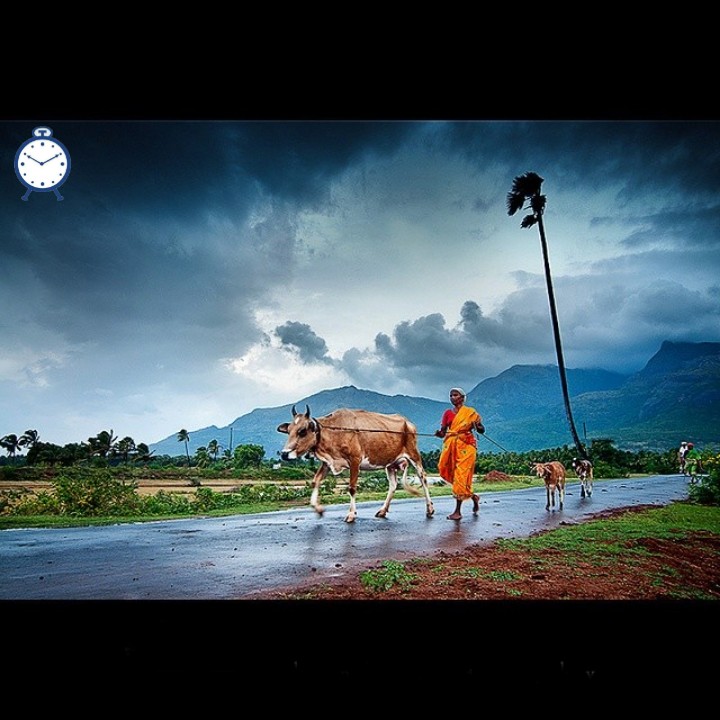 माझ्या शेतकरी बांधवांना 'राष्ट्रीय शेतकरी दिना'च्या मनःपूर्वक शुभेच्छा!
#farmersday