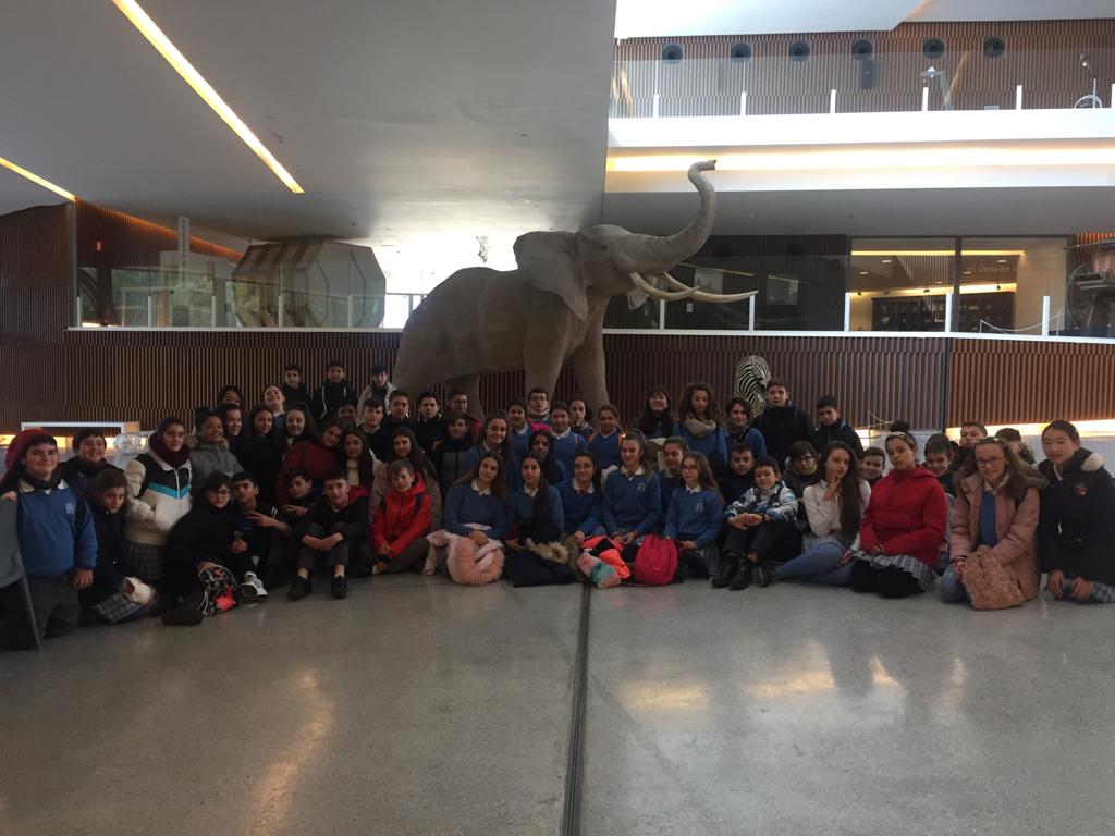 JuanXXIIIZaidin's tweet photo. El pasado 28 de noviembre los alumnos de 1º E.S.O. realizaron la visita al @ParqueCiencias

¡Se divirtieron aprendiendo👏👏!
▶️https://t.co/sp6Bt6AOkA

#granada #colegiogranada #aprenderdiferente #avesrapaces #ciencia #planetario #cuerpohumano #musica https://t.co/qEfiw6tw5D