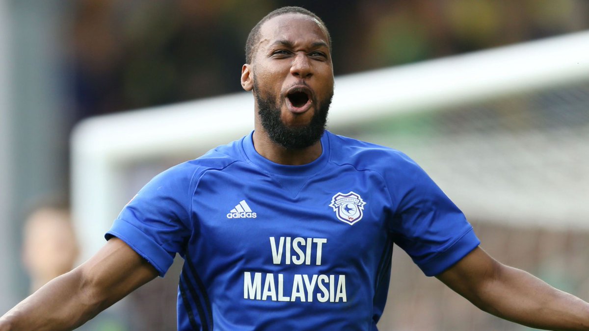 CityBluebirds.com tweet media