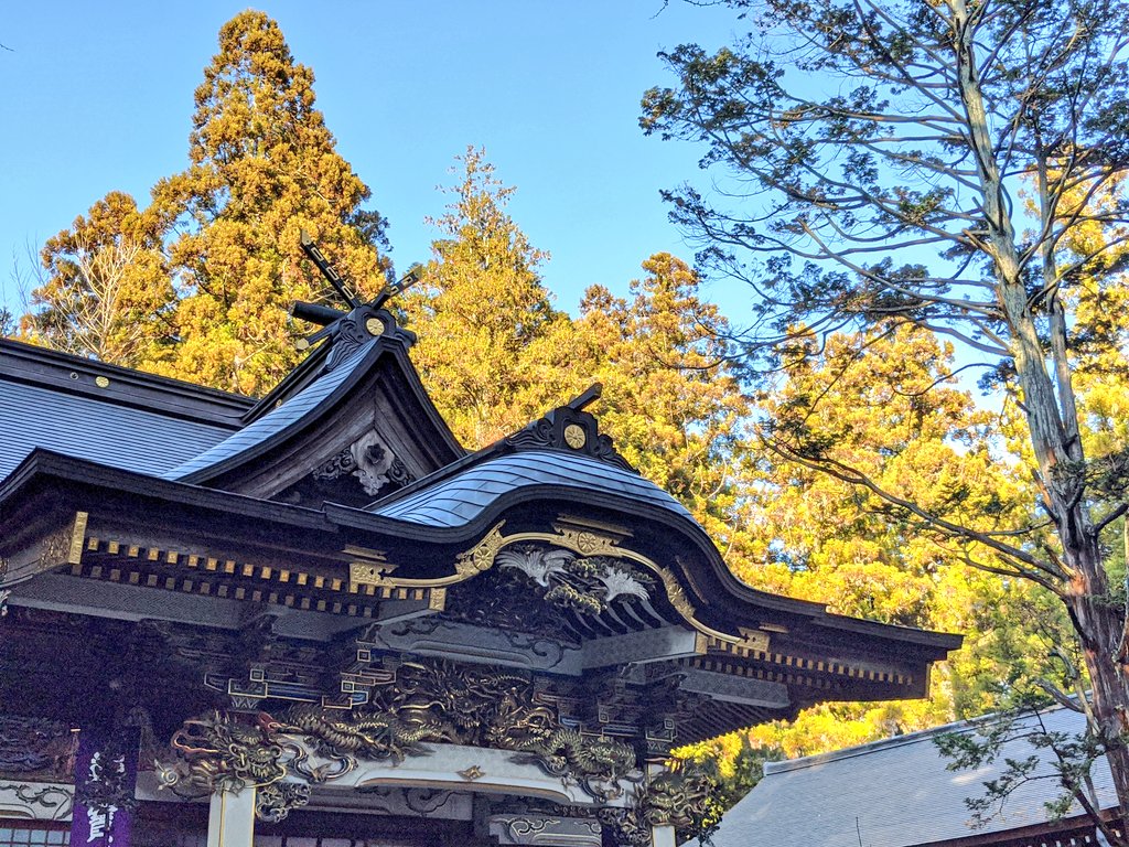 お礼参りに行ってきた
宝登山神社の売店のだんご美味すぎでは??? 