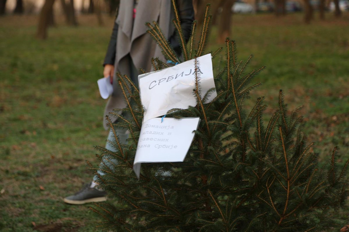 Aktuelna vlast ne samo da zanemaruje činjenicu da je Beograd jedan od najzagađenijih gradova, već postavlja mostove u parkove umesto drveća. 
Iz navedenih razloga Demokratska omladina je juče zasadila tri sadnice jelke na mestu gde Goran Vesić namerava da premesti most🌲